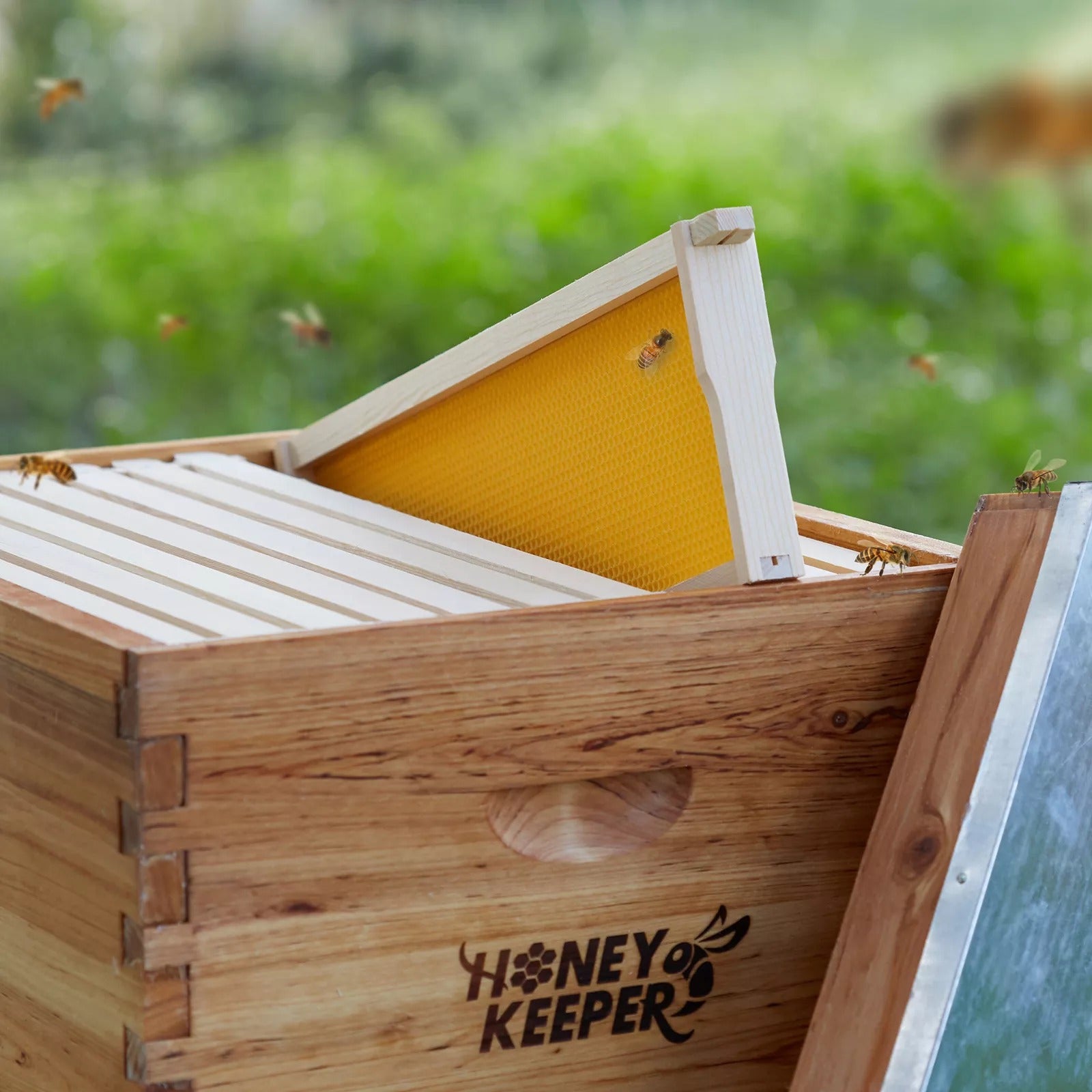 10 Assembled Beehive Frames – 6-1/4" with Coated Beeswax Foundations for Beekeeping