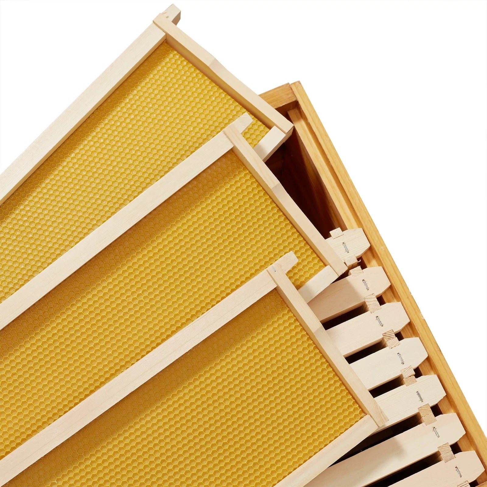 10 Assembled Beehive Frames – 6-1/4" with Coated Beeswax Foundations for Beekeeping