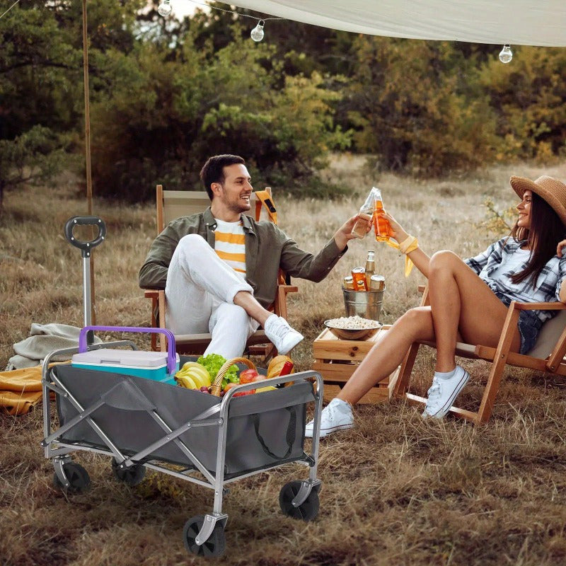 Wagon Folding Cart Collapsible Garden Beach Utility Outdoor Camping Sports Gray