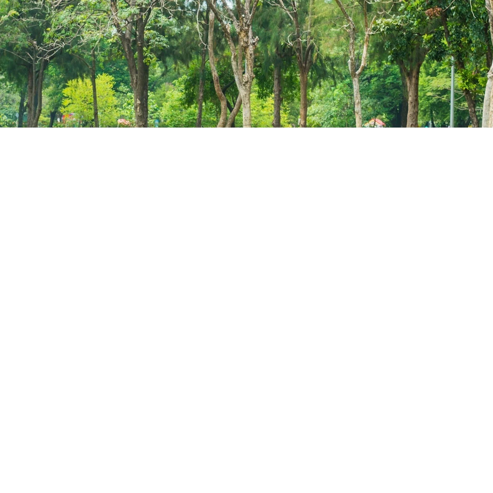 2-Pack Outdoor Privacy Screens - White Vinyl, 46'' x 47'' Huntersville Kit