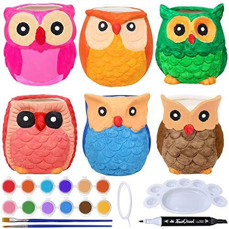 6 Sets DIY Ceramic Owl Succulent Pots Figurines Paint Craft Kit Unpainted