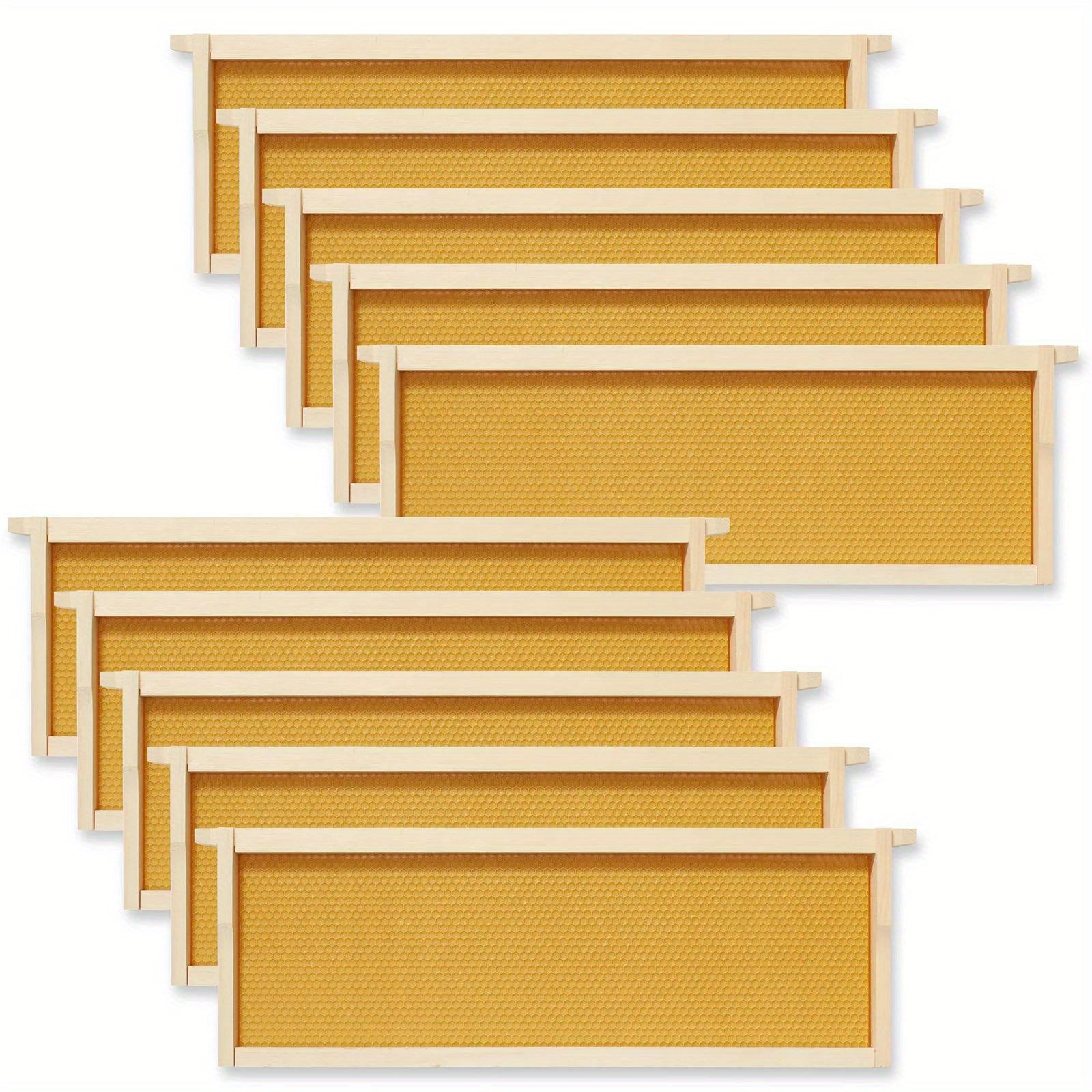 10 Assembled Beehive Frames – 6-1/4" with Coated Beeswax Foundations for Beekeeping