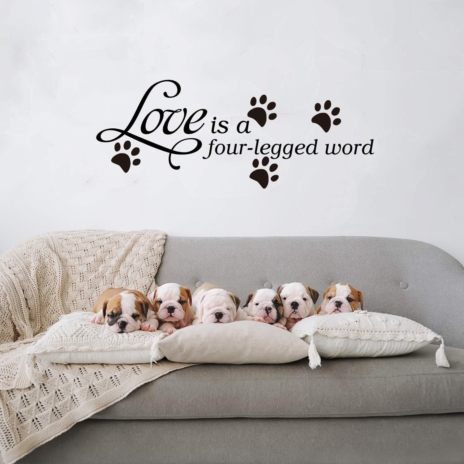 Cat Wall Decor, Cat Wall Decals, Pets Dogs Paw House Pup Animals Footprint Quotes Inspirational Bedroom Positive Family Sayings Home Art Decor Vinyl Stickers Love Is a Four Legged Word 23"X9"