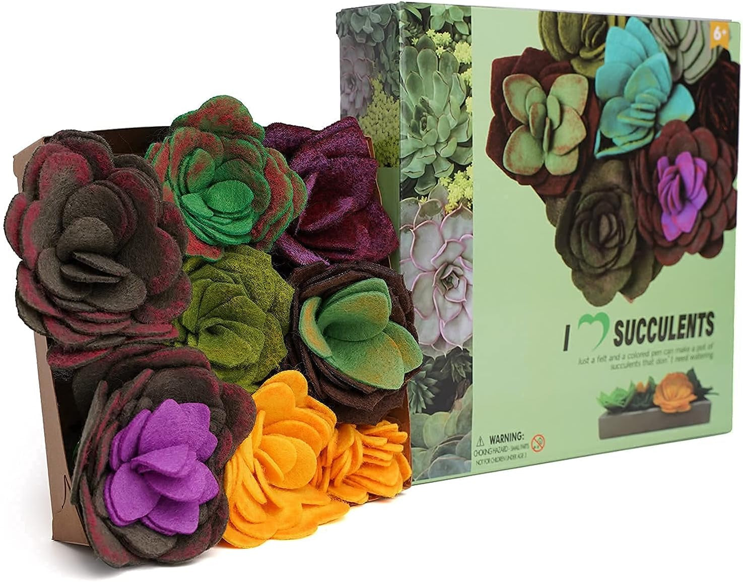 Felt Succulents Craft Kit - Arts and Crafts - DIY Succulent Felt Art Craft - Crafts for Kids Ages 8-12 - Paper Flowers Educational Gifts Table Decor Piece