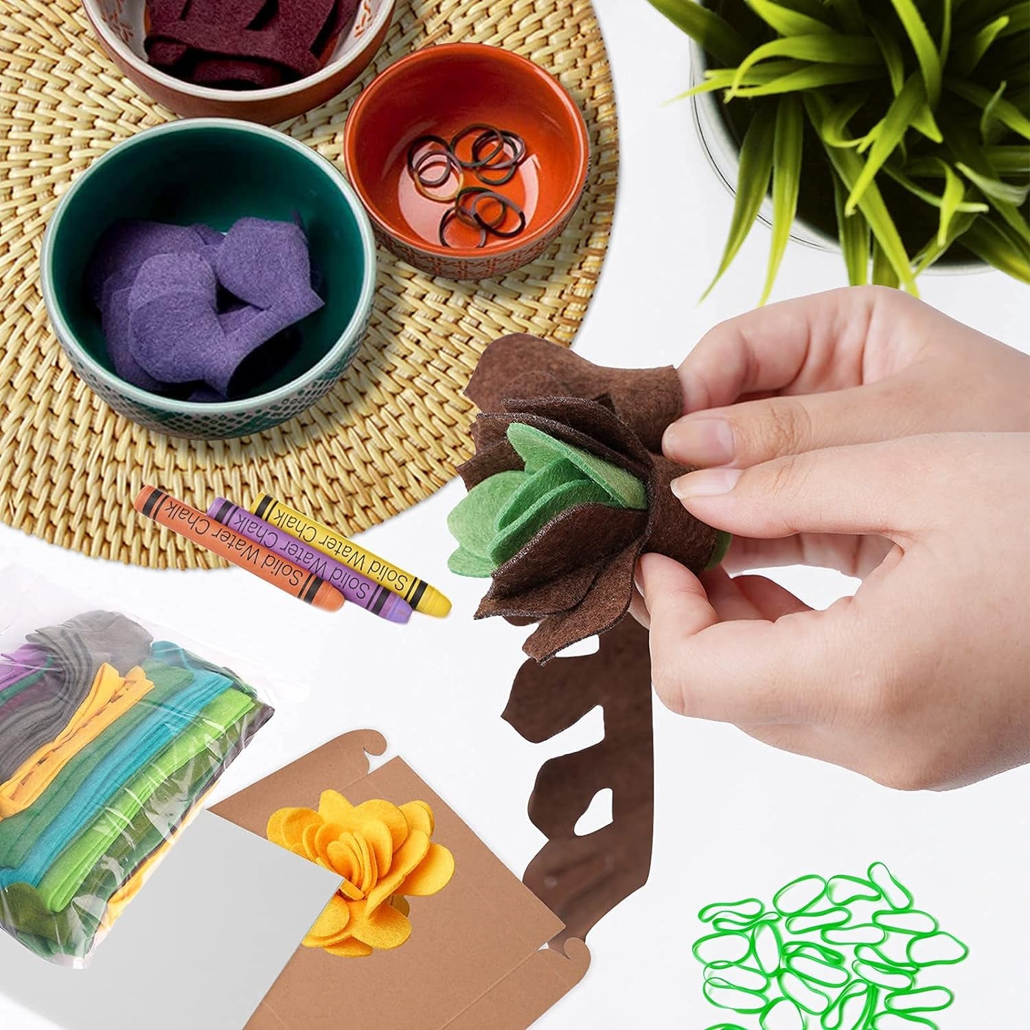 Felt Succulents Craft Kit - Arts and Crafts - DIY Succulent Felt Art Craft - Crafts for Kids Ages 8-12 - Paper Flowers Educational Gifts Table Decor Piece