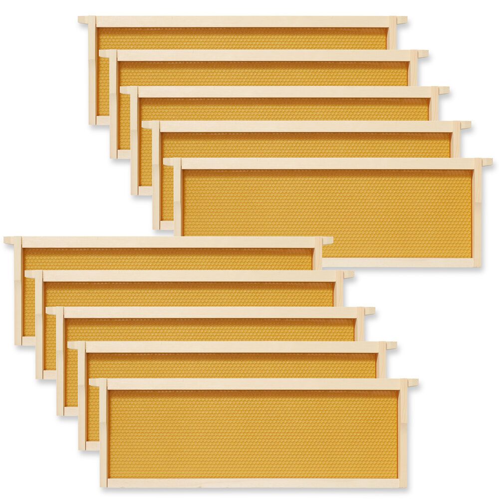 10 Assembled Beehive Frames – 6-1/4" with Coated Beeswax Foundations for Beekeeping